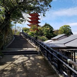 Meet your Posher, Jonah